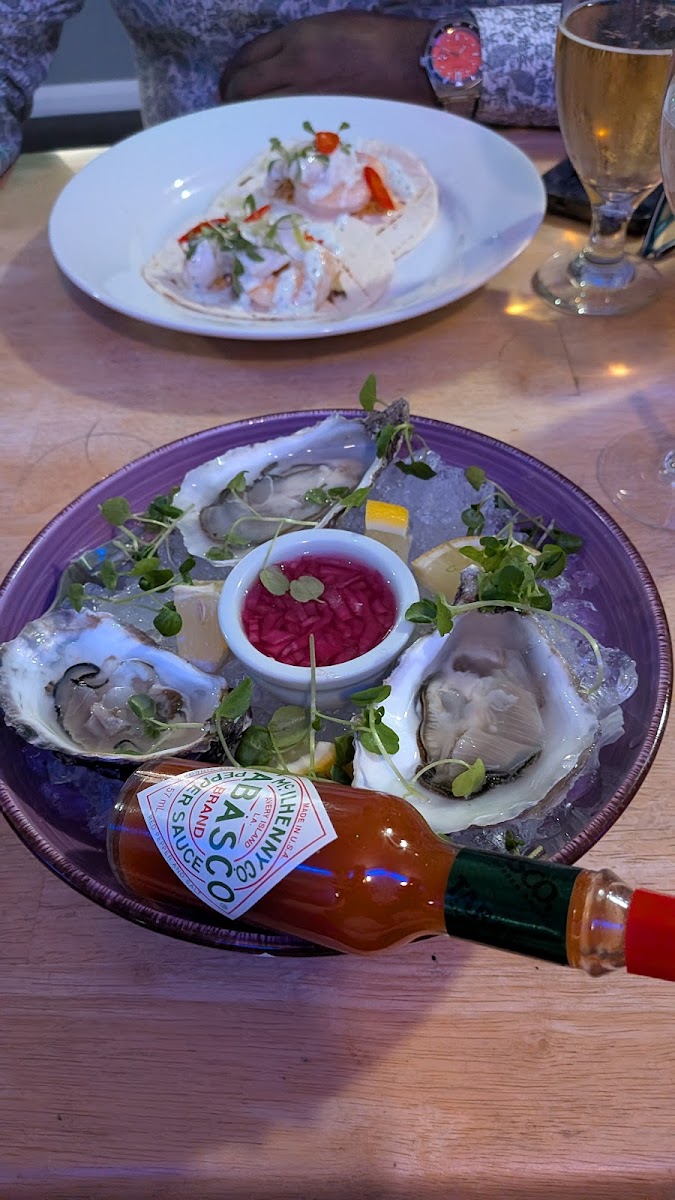 Gaff Rigger Photos 2